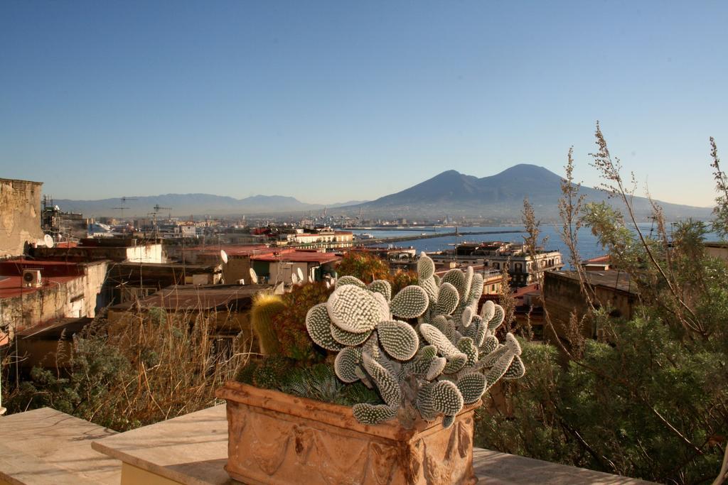 Alma De Templarsf - Stunning Design Home With Sea View And Terrace Наполи Стая снимка